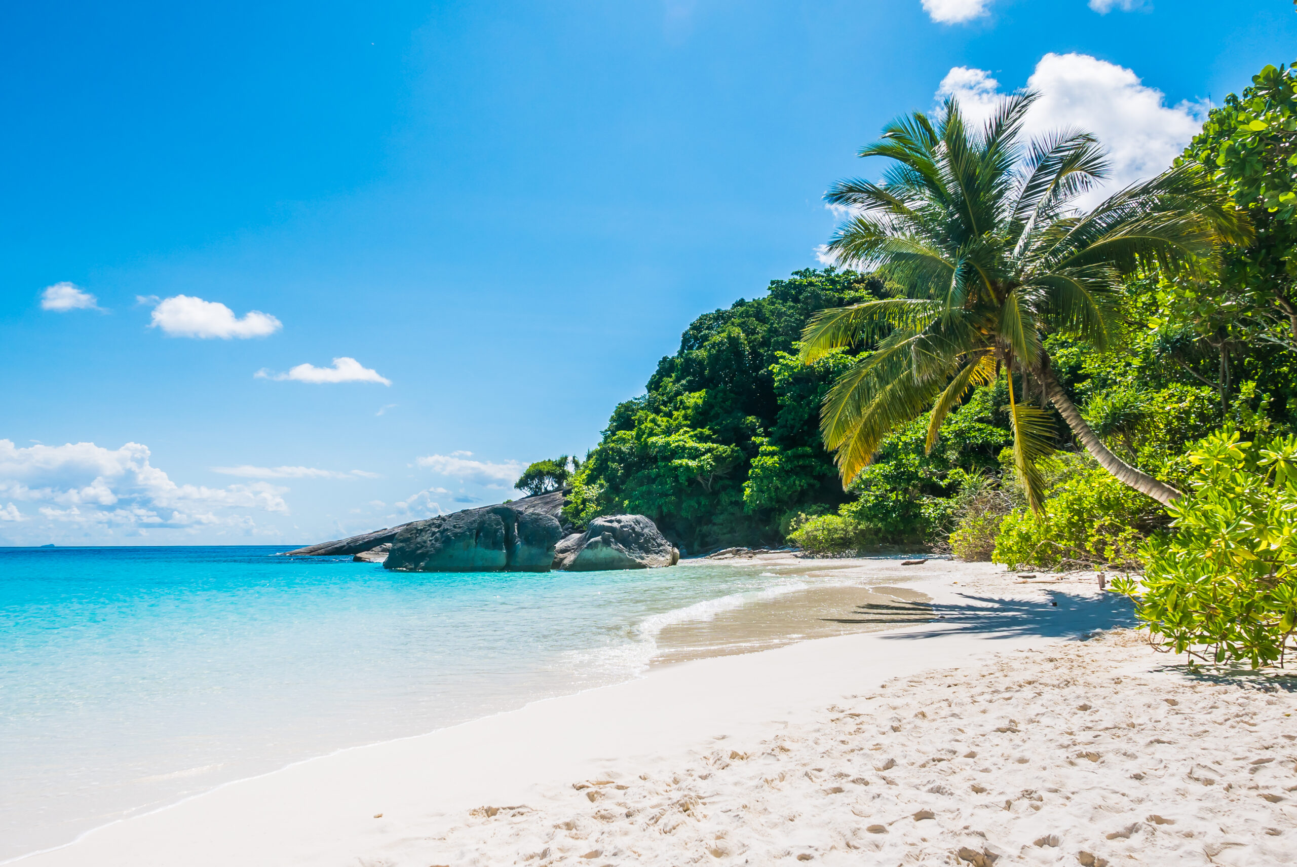 Beautiful sea and tropical beach Jamaica
